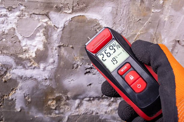 Best Crawl Space Mold Removal  in Roseland, OH