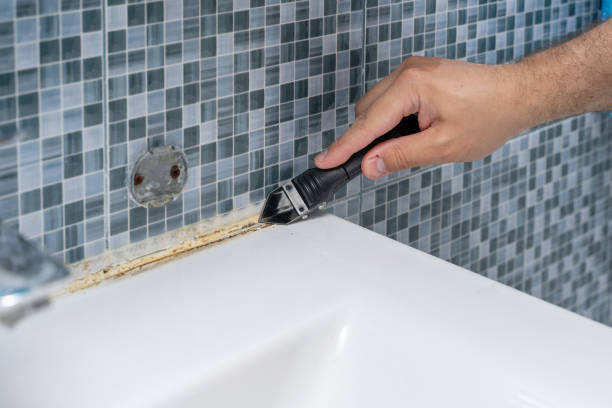 Best Mold Testing  in Roseland, OH