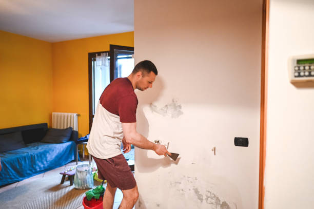 Best Attic Mold Removal  in Roseland, OH